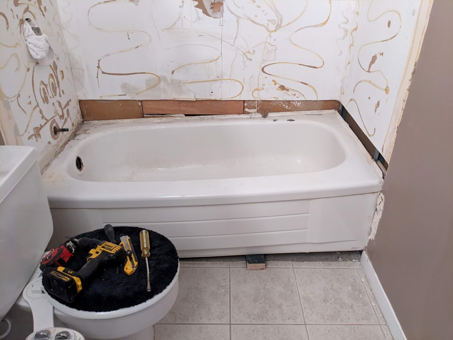 Tub-to-Shower Conversion